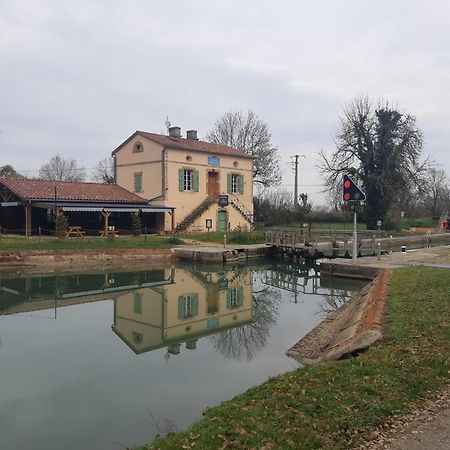 Maison De Famille Avec Parc Arbore Montauban Ngoại thất bức ảnh