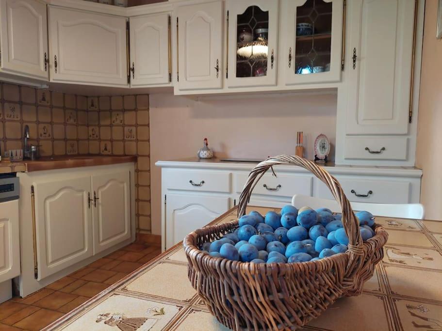 Maison De Famille Avec Parc Arbore Montauban Ngoại thất bức ảnh