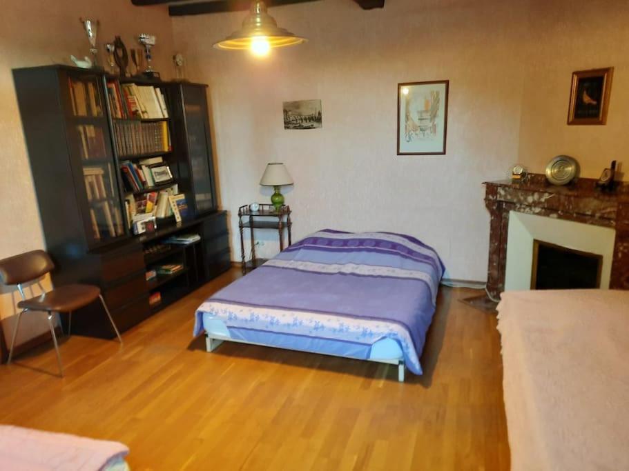Maison De Famille Avec Parc Arbore Montauban Ngoại thất bức ảnh