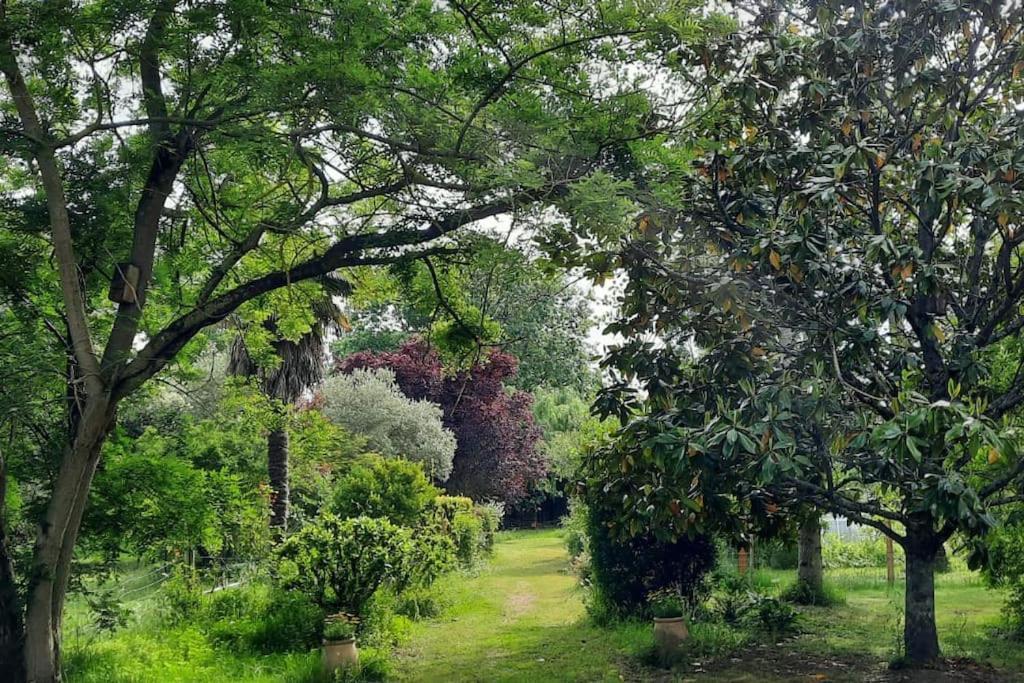 Maison De Famille Avec Parc Arbore Montauban Ngoại thất bức ảnh